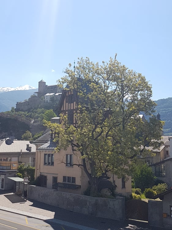 À louer, magnifique appartement de 1 pièces 1/2, au sommet de la vieille ville de Sion ! 12