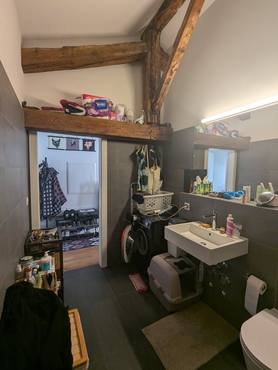 PETIT BIJOU ! À louer, en plein centre de Martigny, un appartement atypique de 2 pièces 1/2 ! 14