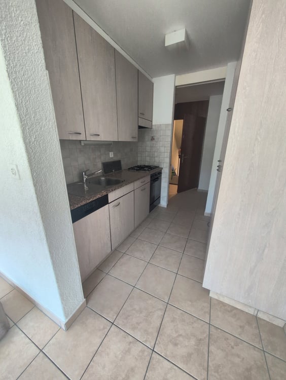 À louer ! Un spacieux appartement de 5 pièces 1/2, entouré de verdure, à l'entrée Ouest de Sion ! 3