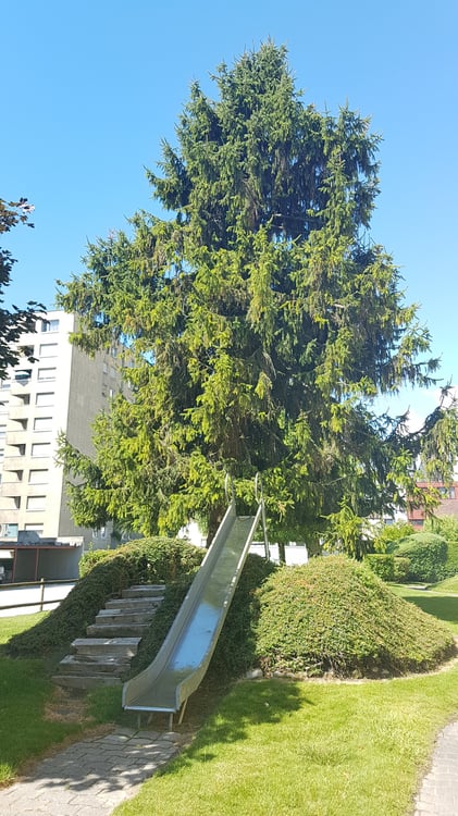 À louer, un charmant appartement de 3 pièces 1/2, à l'entrée Ouest de Sion ! 16