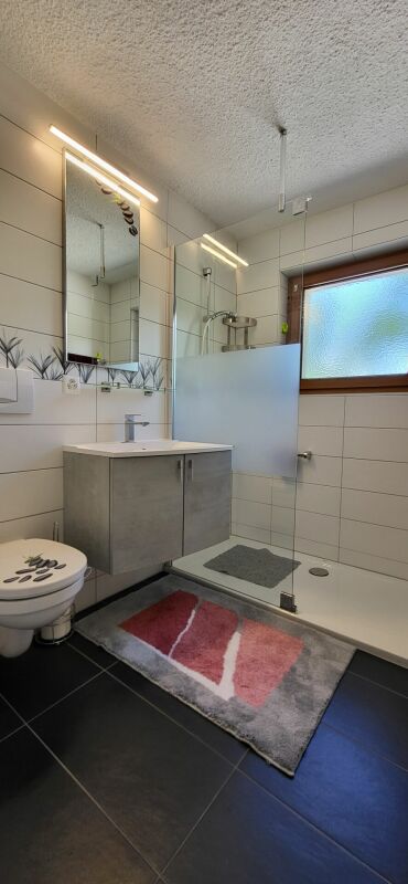 Propriété de caractère composée de 3 appartements