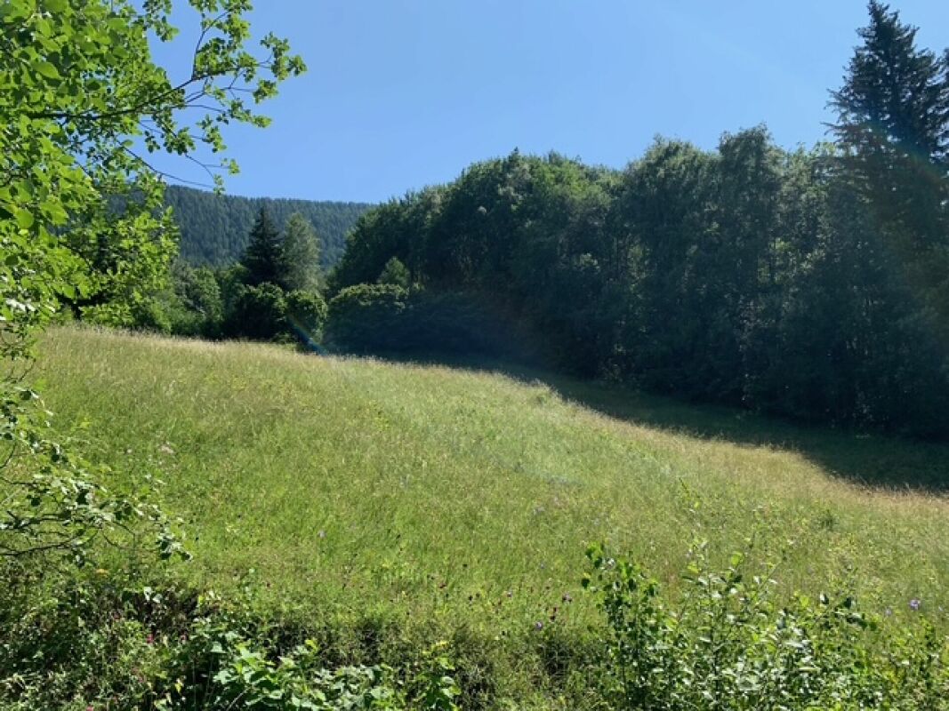 Terrain à bâtir Mayen de l'Arbarey - Saxon