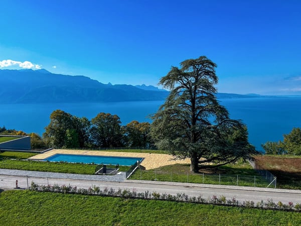 Magnifique 3 1/2 pièces à Puidoux-Chexbres avec vue sur Lac Léman 9