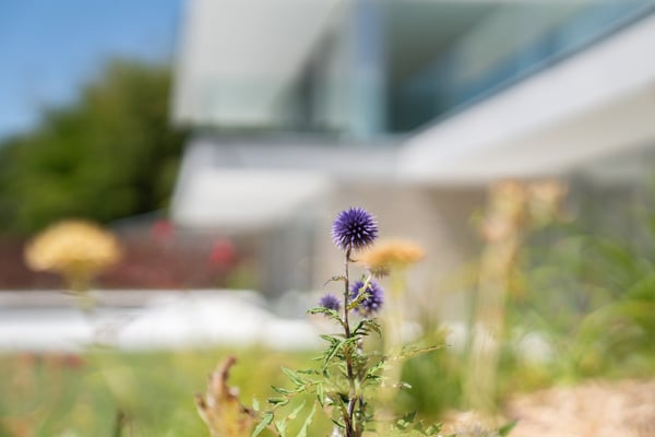 Le Pavillon du Clos – Villa d'exception neuve à Veytaux 18