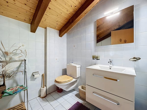Les Vérines, Chamoson, maison individuelle 6.5 pièces 12
