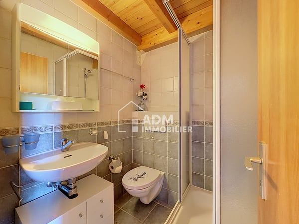 Studio avec mezzanine aux pieds des pistes 13