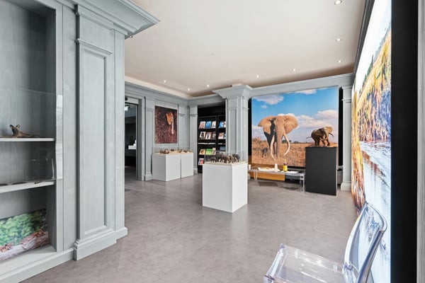 Local commercial 430m2 rue commerçante 1