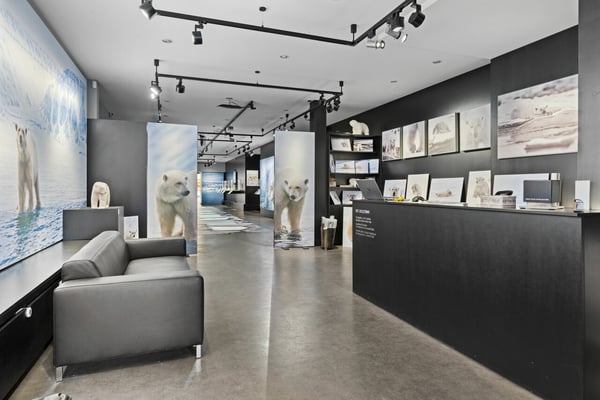 Spacieux local commerciale en plein centre de Montana 2