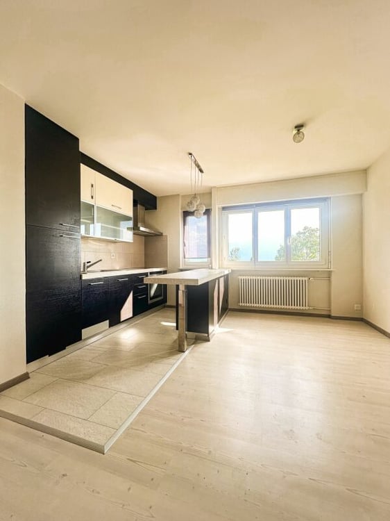 Appartement 2,5pces 3