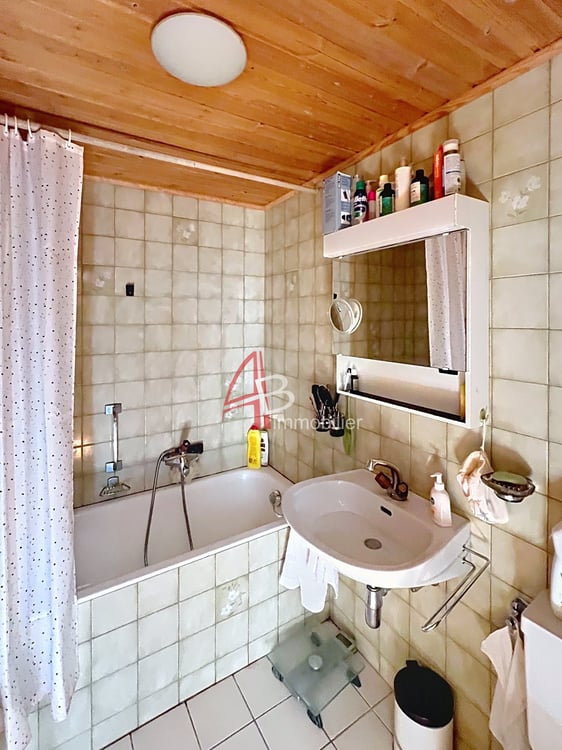 LE LEVRON appartement 1.5 vue panoramique magnifique 7