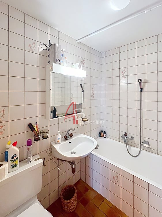 LE LEVRON appartement 1.5 vue panoramique magnifique 9