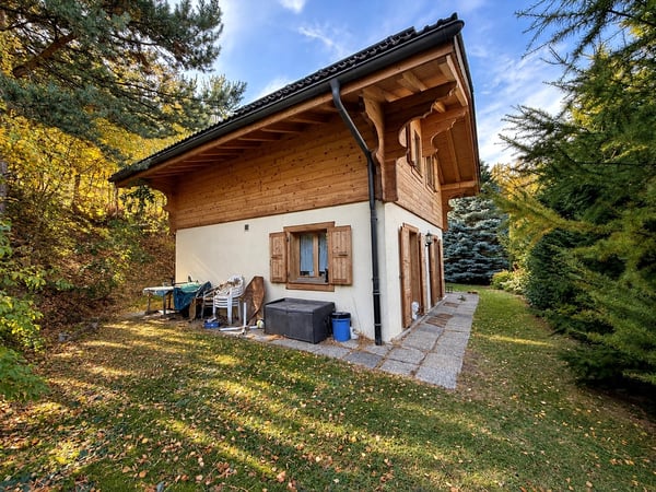 Chalet chaleureux dans un environnement verdoyant et préservé 11