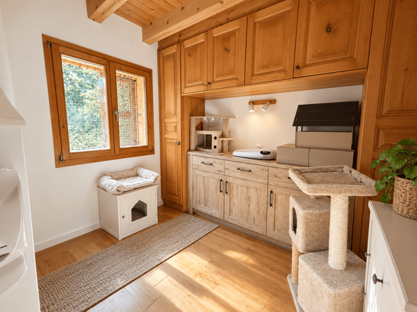 Chalet chaleureux dans un environnement verdoyant et préservé 7