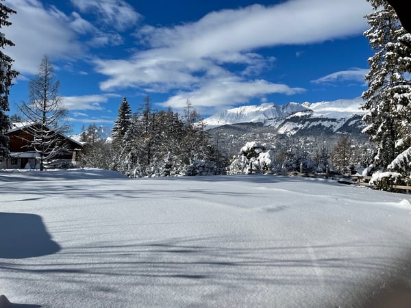 Magnifique chalet en cours d'agrandissement 8