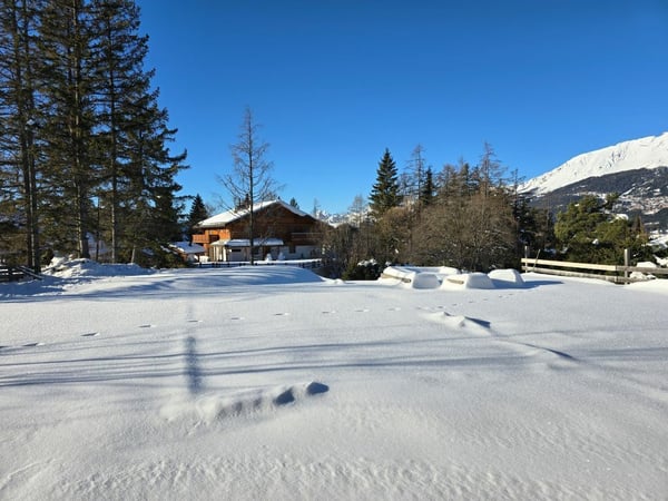 Magnifique chalet en cours d'agrandissement 3