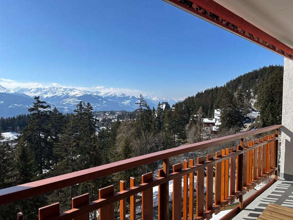 LOCATION SEMAINE : 1.5 pièces au pied des pistes 8