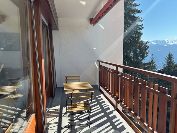 LOCATION SEMAINE : 1.5 pièces au pied des pistes 7