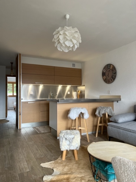 LOCATION semaine : 1.5 pièces rénové 2