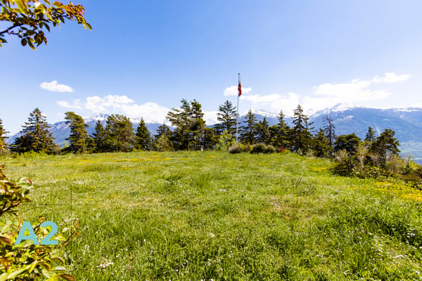 Propriété unique, de caractère avec vue imprenable et excellent ensoleillement 5