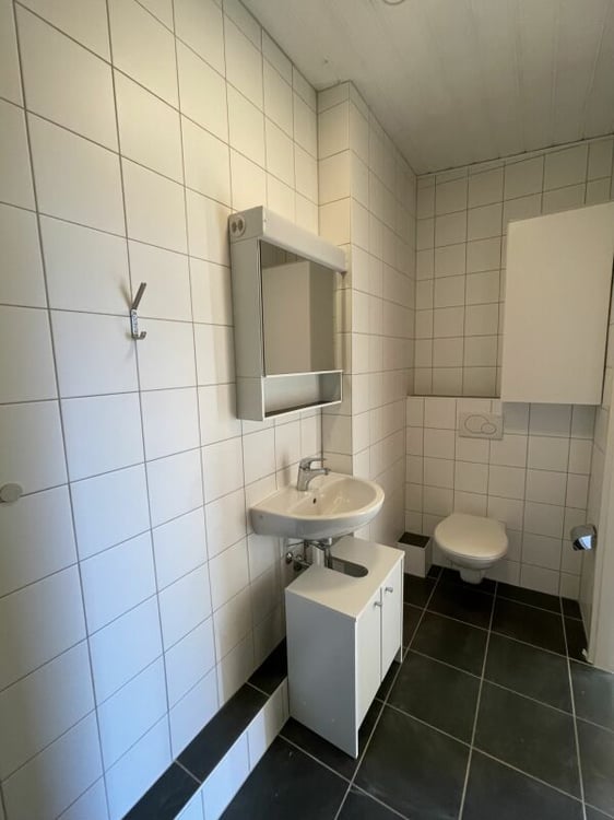 1.5 pièces en attique 7