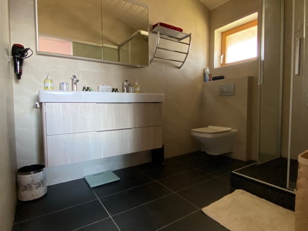 Chalet Le bosquet Arbaz 7