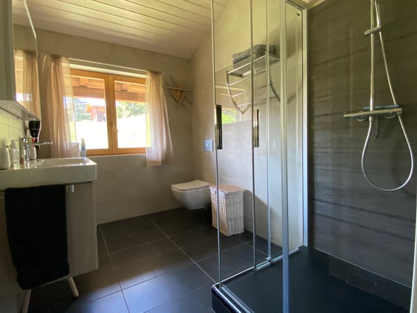 Chalet Le bosquet Arbaz 10