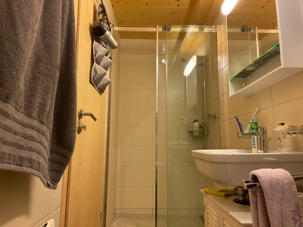 Chalet La Petite Clairière Arbaz 12