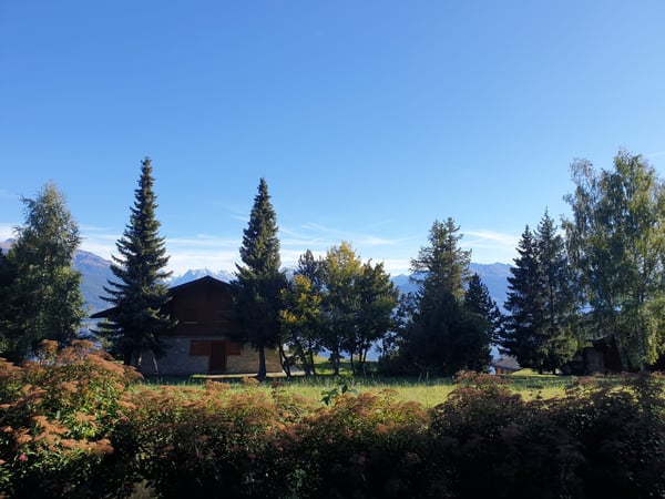 Locations de vacances: Appartement Rouge-gorge 13