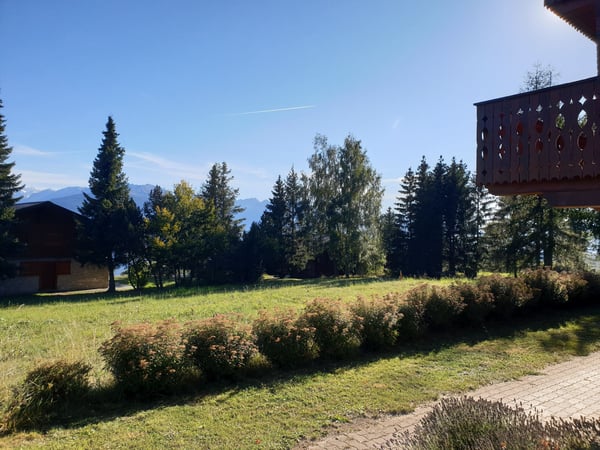 Locations de vacances: Appartement Rouge-gorge 11