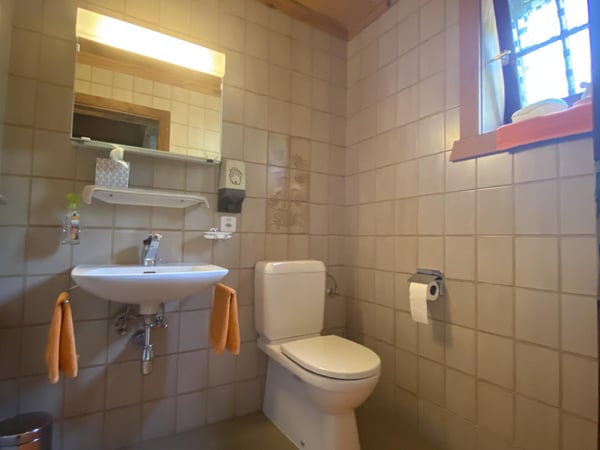 Grimisuat - magnifique chalet individuel avec extérieur d'exception 6