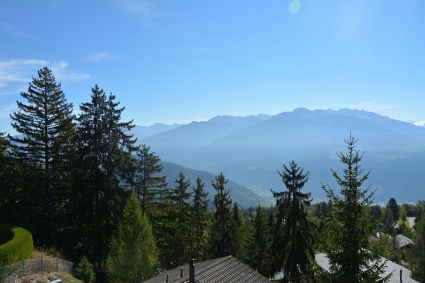 Locations de vacances: Chalet Ursi 3