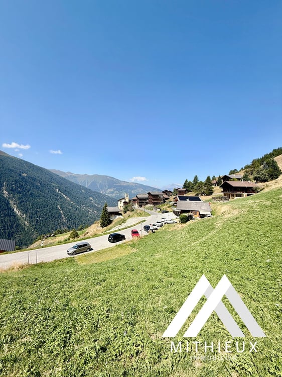 PARCELLE 4104 M2 ! POSSIBILITÉ DE CONSTRUIRE 5 CHALETS, EISON 4