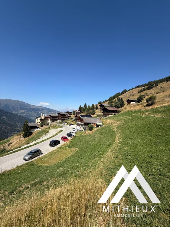 PARCELLE 4104 M2 ! POSSIBILITÉ DE CONSTRUIRE 5 CHALETS, EISON 3