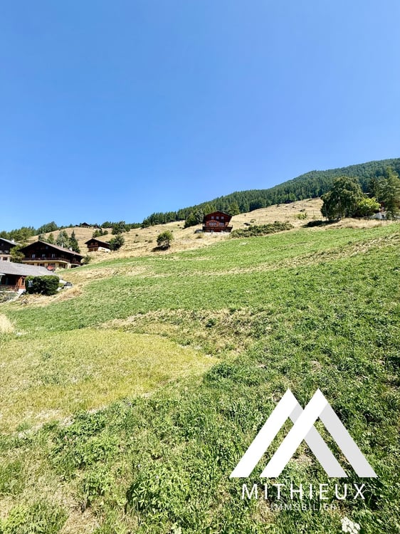 PARCELLE 4104 M2 ! POSSIBILITÉ DE CONSTRUIRE 5 CHALETS, EISON 2