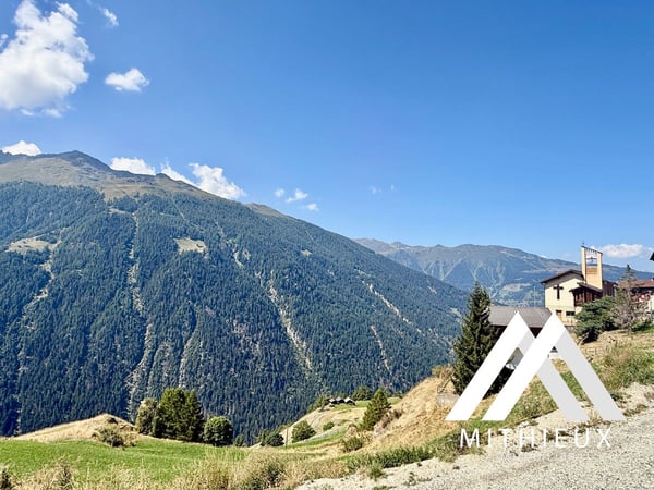 PARCELLE 4104 M2 ! POSSIBILITÉ DE CONSTRUIRE 5 CHALETS, EISON 7