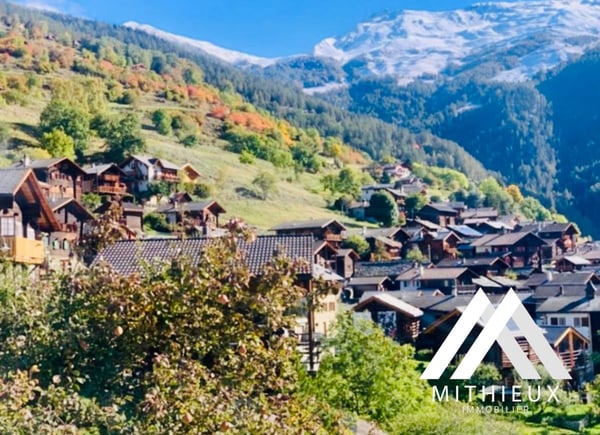 IMMEUBLE DE RENDEMENT, MASE ( MONT-NOBLE ) 9