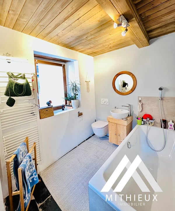 IMMEUBLE DE RENDEMENT, MASE ( MONT-NOBLE ) 7