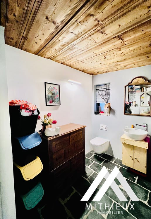 IMMEUBLE DE RENDEMENT, MASE ( MONT-NOBLE ) 8