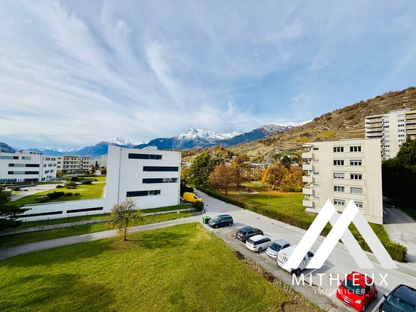 APPARTEMENT NEUF ! REZ-DE-JARDIN 1.5 PCS, 16 M2 - SION 10