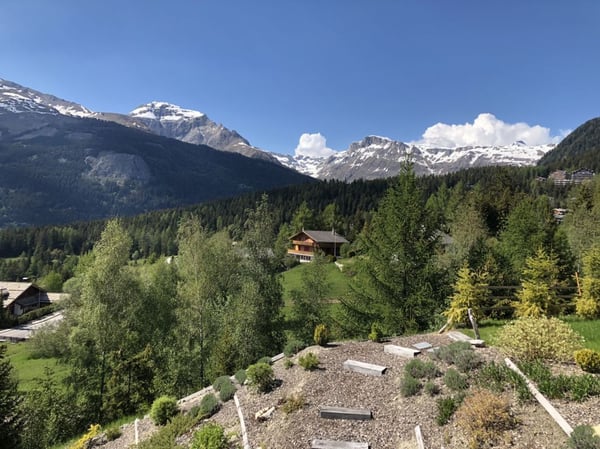 Magnifique 1.5 Pièces - Au coeur de la station 10