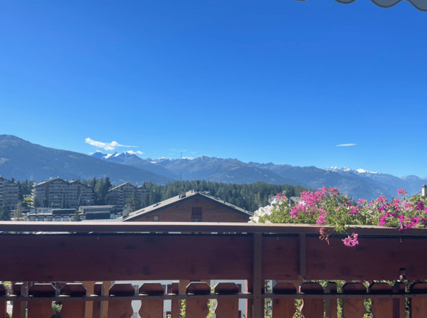 RESIDENCE SECONDAIRE - 1.5 PIECES - AU CENTRE 3