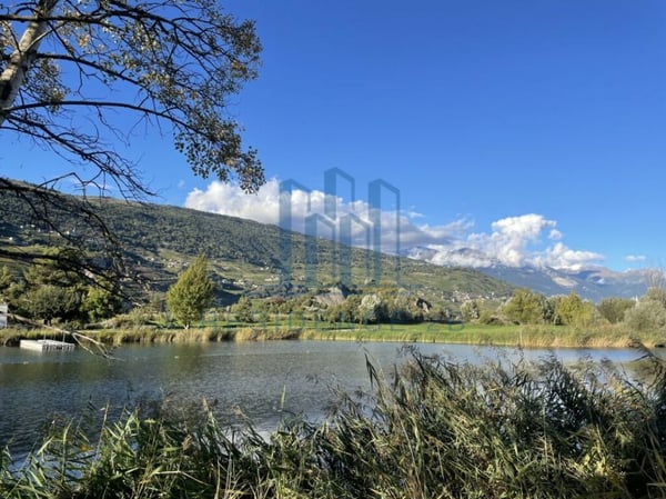 Villa contemporaine à Grône 11