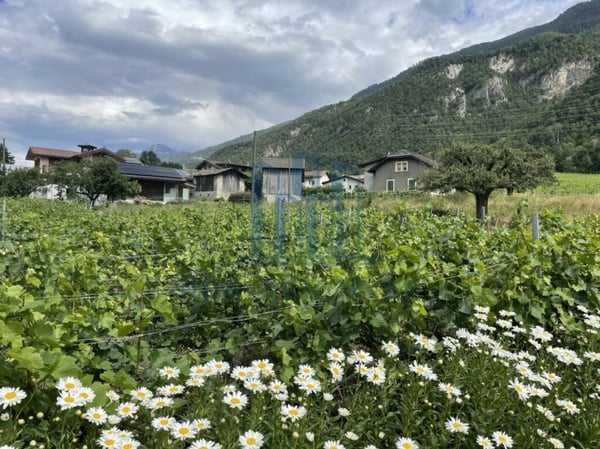 Nouvelle promotion:  3 Villas en construction 5