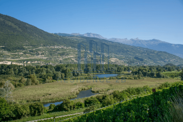 Nouvelle promotion:  3 Villas en construction 3