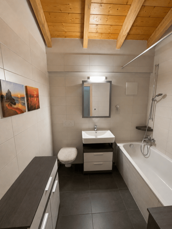 Appartement 3.5 pièces - Charpente apparente 5