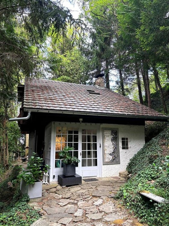 Maison au coeur de la forêt 1