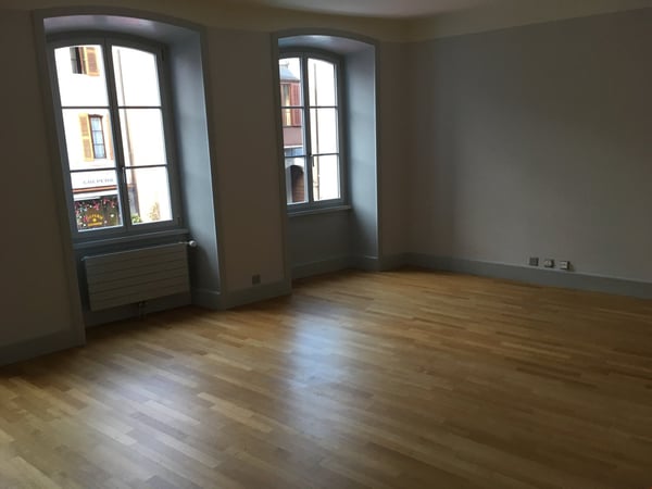 SUPERBE + SPACIEUX 1.5P MAGNIFIQUEMENT RENOVE - GRAND-PONT/ MALOC-IMMO 3