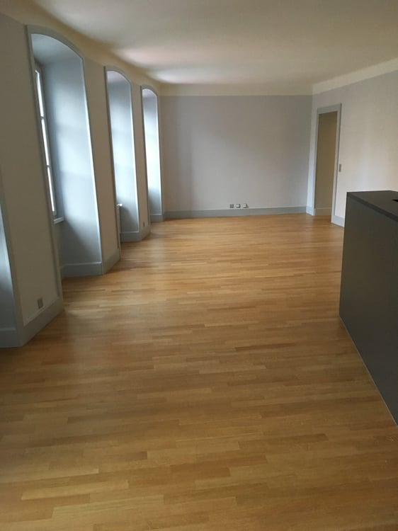 SUPERBE + SPACIEUX 1.5P MAGNIFIQUEMENT RENOVE - GRAND-PONT/ MALOC-IMMO 4