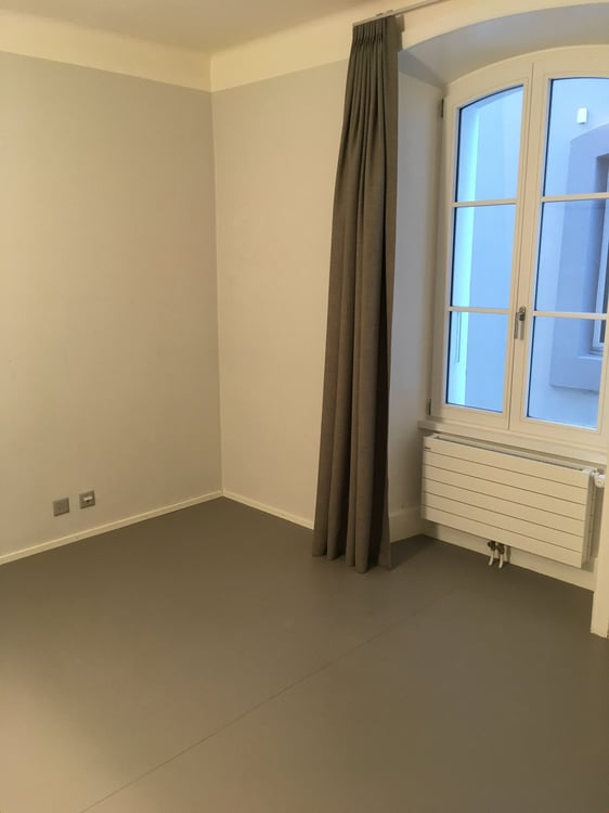 SUPERBE + SPACIEUX 1.5P MAGNIFIQUEMENT RENOVE - GRAND-PONT/ MALOC-IMMO 9