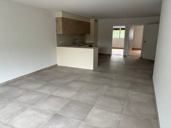 PLUS QU'UN SEUL APPARTEMENT 3.5P NEUF! - SITUATION IDÉALE À ARDON / MALOC-IMMO 5